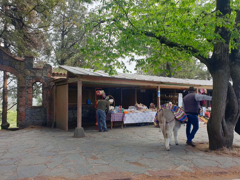 Donkey in Cruz de Tejeda and stalls of Canarian products