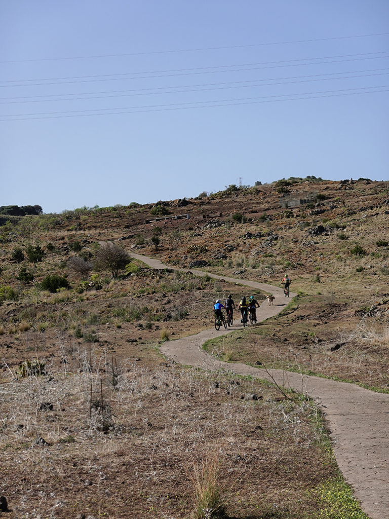 Paths of the enduro route through El Toscón