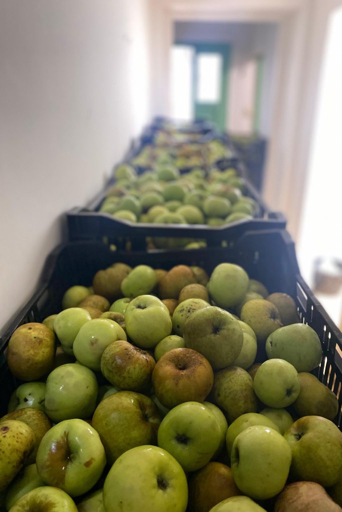 Manzana de Valleseco