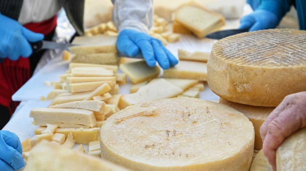 Cheese Festival Guide