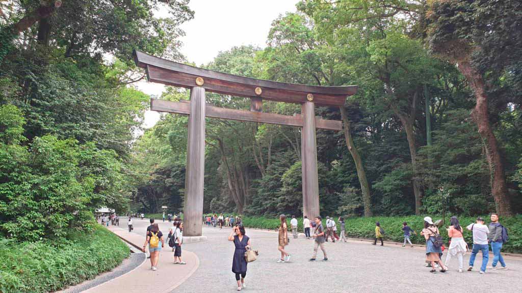 Great wooden Tori at Yoyogi Park, places to visit in Tokyo in 4 days