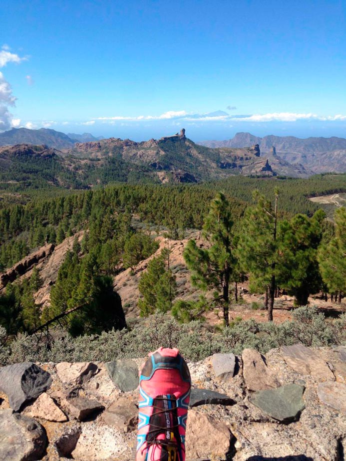 Views from Pico de Las Nieves