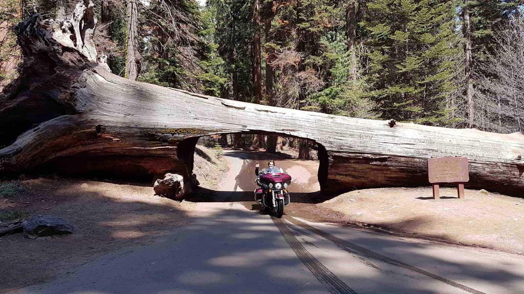 Parque Nacional de la Sequoia. Fuera del mapa ruta 66