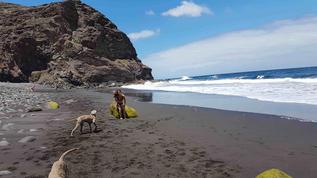 Beaches for dogs in Gran Canaria. The Risco, Agaete