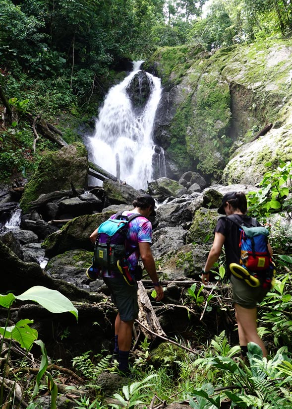 Qué ver en Costa Rica, Parque Nacional de Corcovado