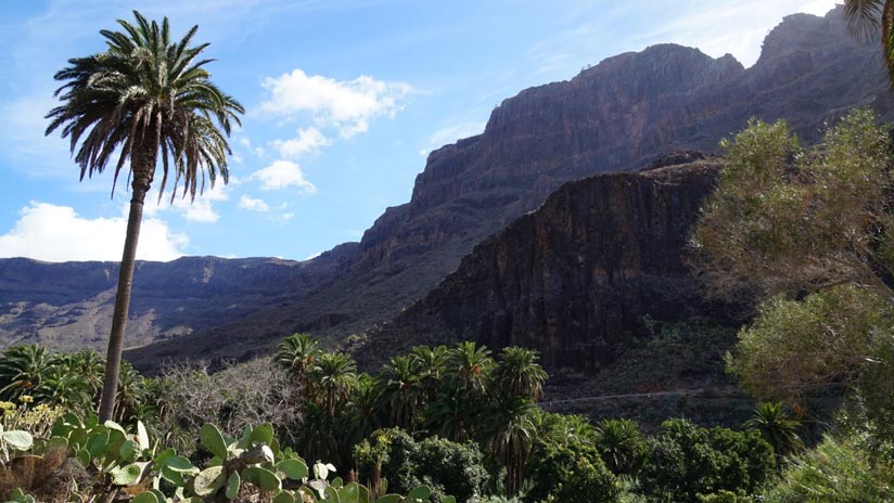 Fataga ravine, personalized tours Gran Canaria