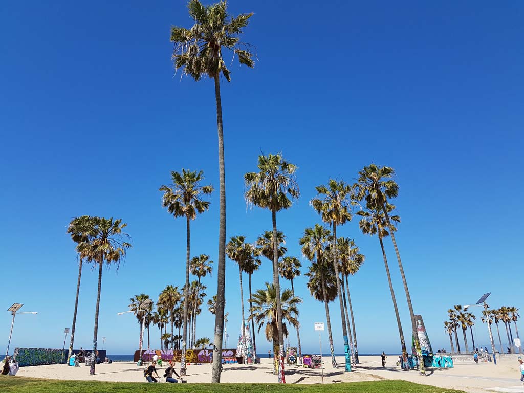 Venice Beach. End of the route 66 road trip