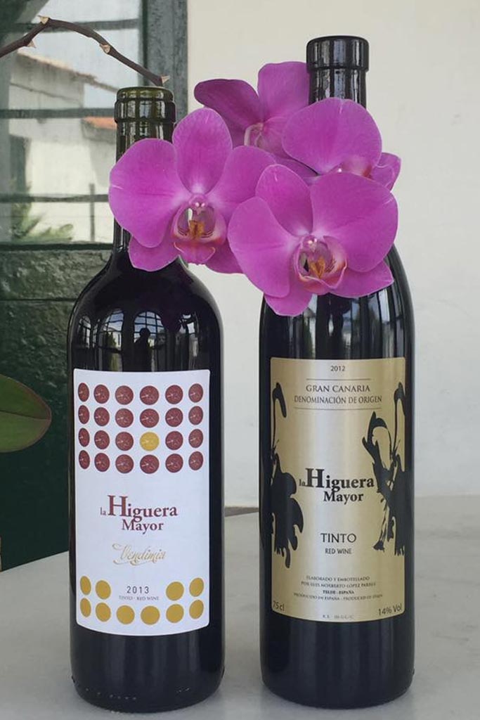 Gran Canaria Wines from the Higuera Mayor winery