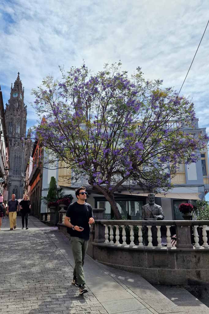 Calles peatonales del casco histórico