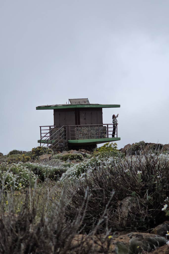 Caseta Forestal Pico de la Gorra, San Mateo