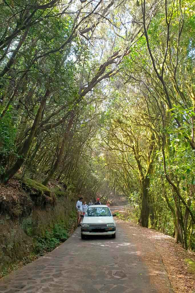 como moverse por la gomera