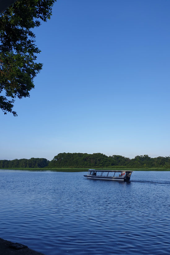 dia soleado en Tortuguero