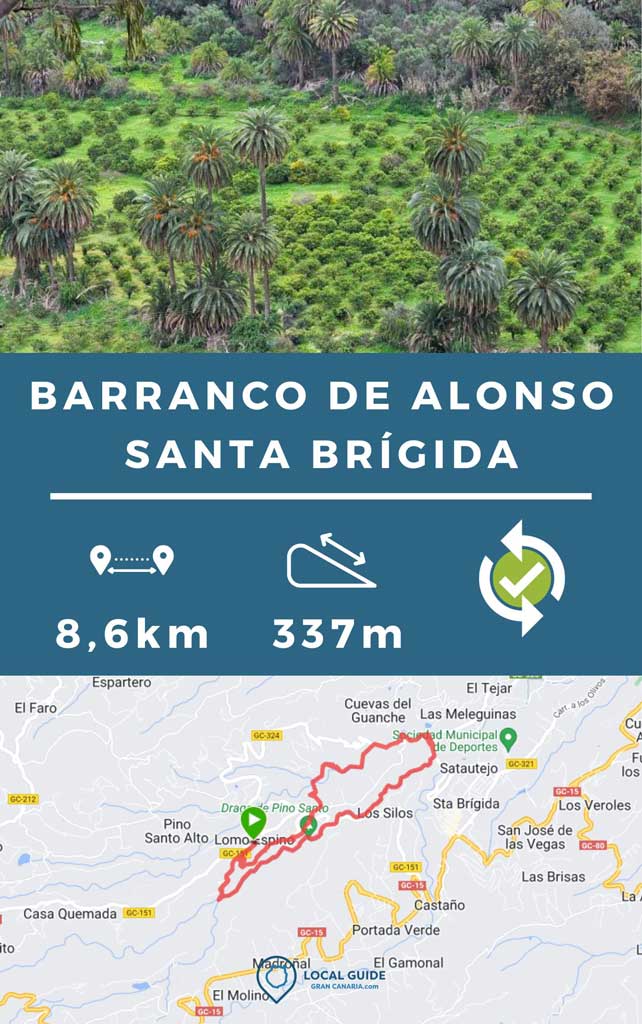 Track Barranco de Alonso ravine, hiking in Santa Brígida