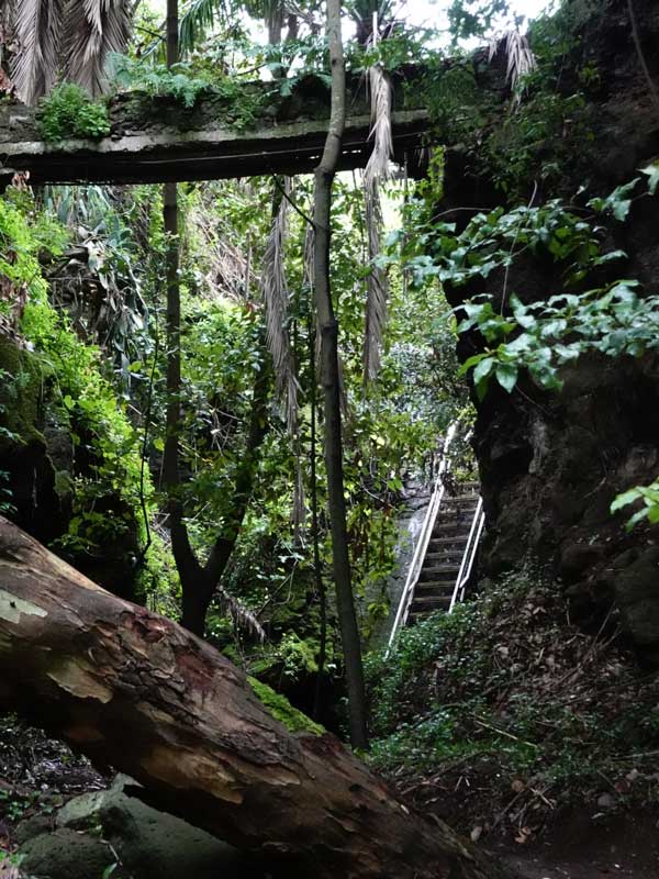 Sendero de El Álamo y escaleras de madera durante la ruta