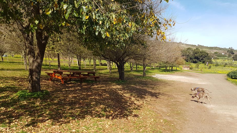 Picnic area during the trail