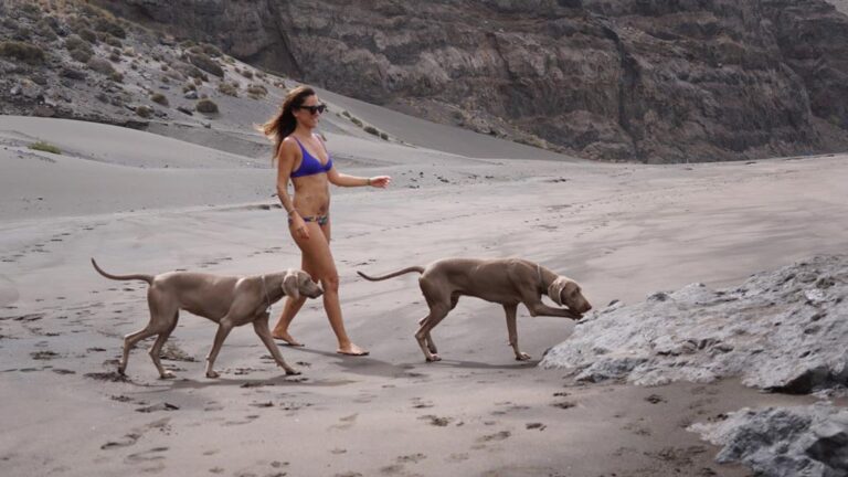 Playas para ir con perros en Gran Canaria