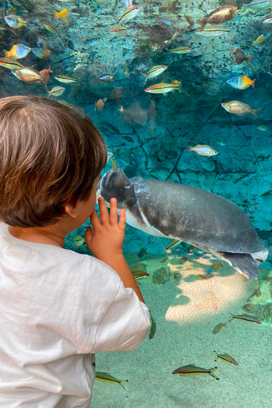Poema del Mar, things to do in Gran Canaria with children