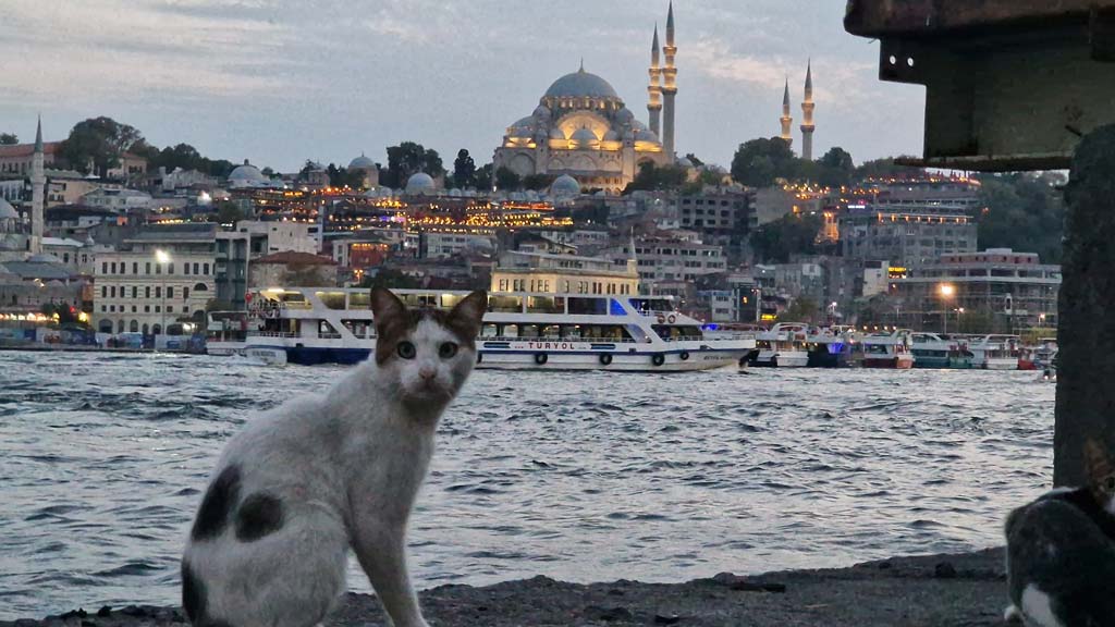 What to see in Istanbul, Turkey