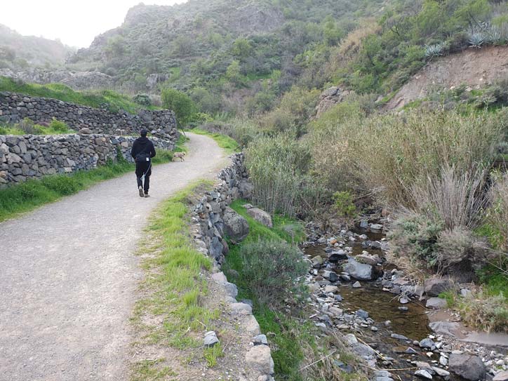 Charco de La Paloma hike