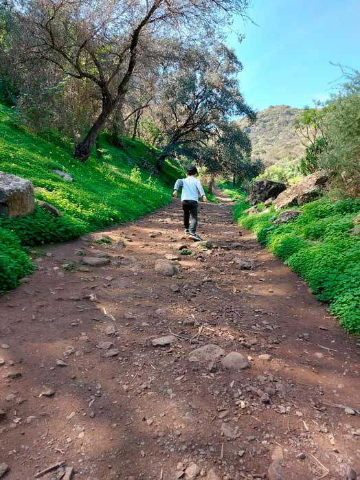 Hiking trails for families Gran Canaria