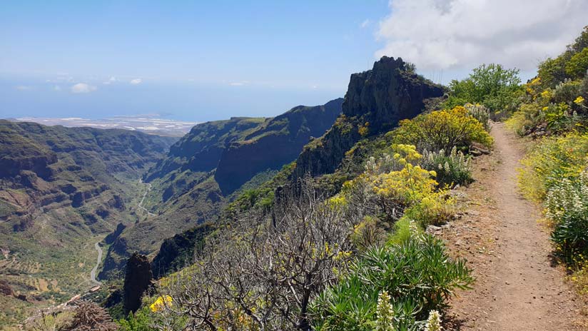 Guayadeque ravine, Gran Canaria island