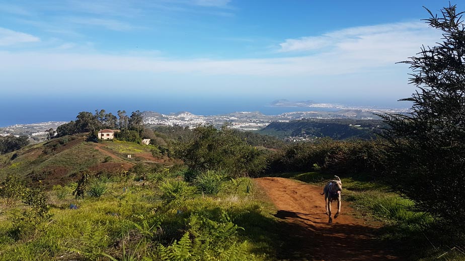 Hiking in Osorio, Gran Canaria