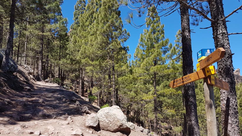 Trail to get to Roque Nublo on foot