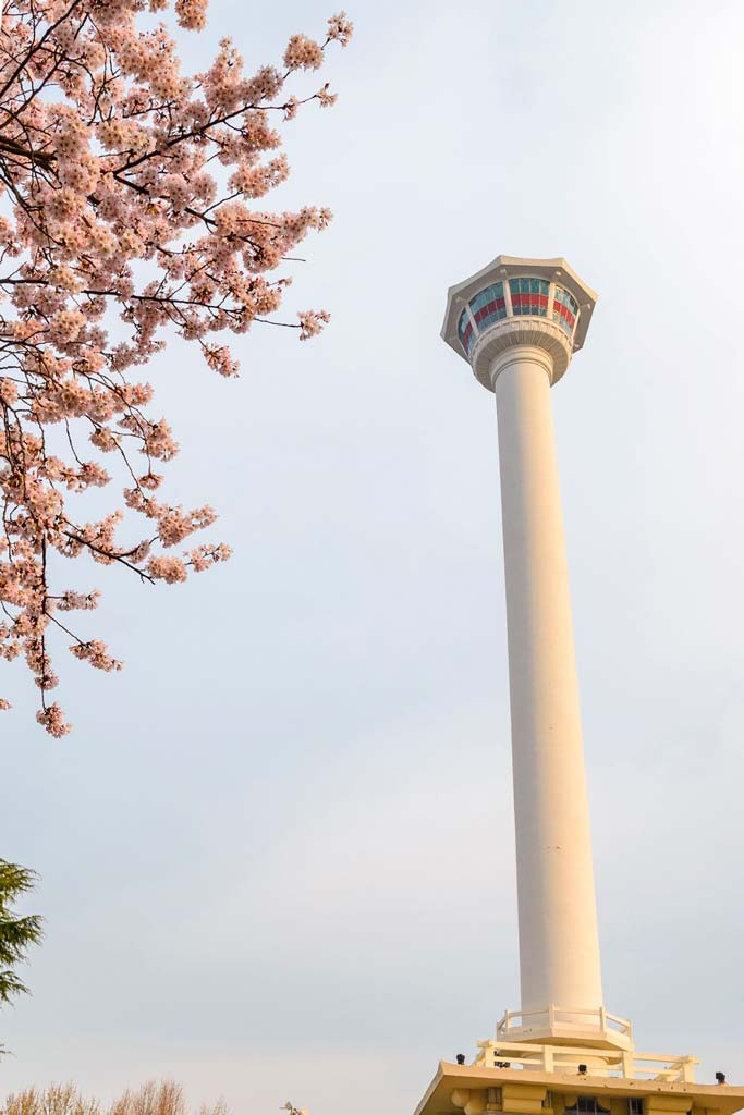 Torre de Busan, turismo en Corea del sur